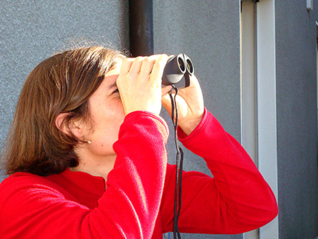 Hat Drosera den Durchblick?